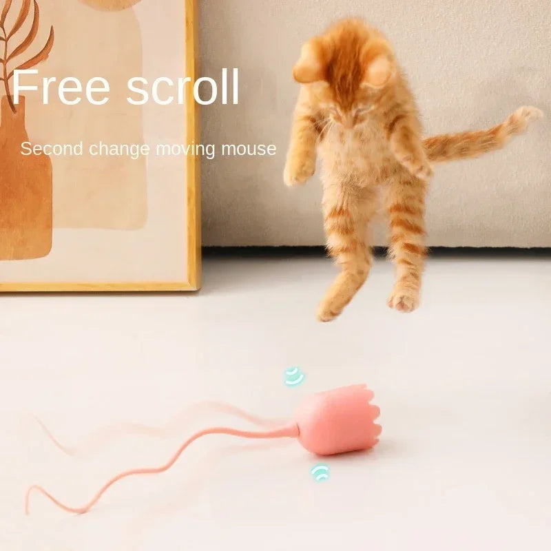 Auto Spin Cat Toy