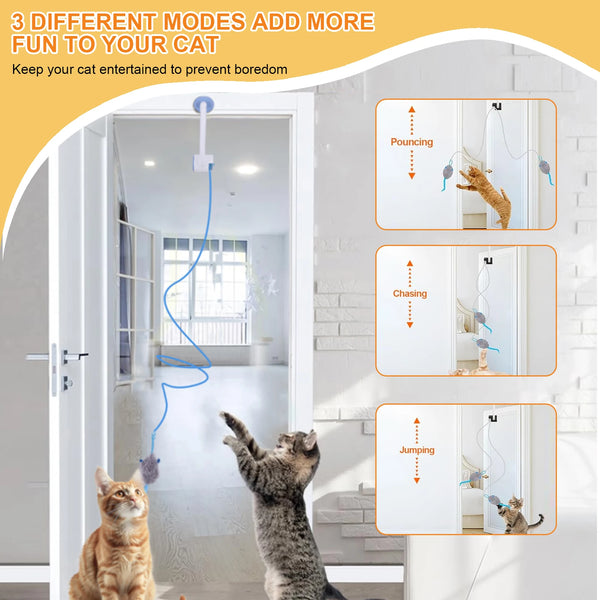 Automatic Retractable Cat Door Toy